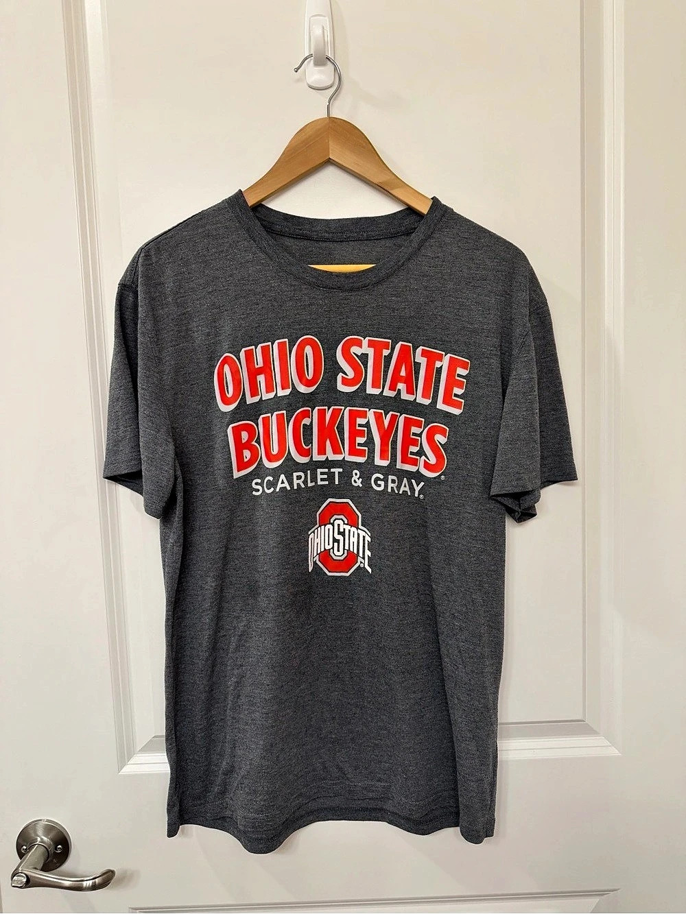 Ohio State Buckeyes in Gray Size Large